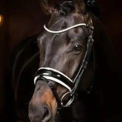 LeMieux - Frontal Ice Crystal noir