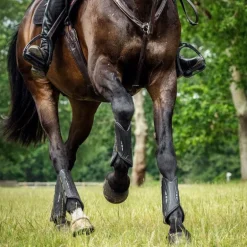 LeMieux - Guêtres de cross MimSafe antérieurs noir/ jaune