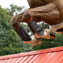 LeMieux - Guêtres de cross MimSafe antérieurs noir/ jaune