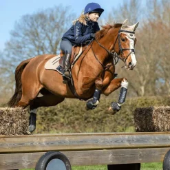 LeMieux - Guêtres de cross Carbon Air noir x2