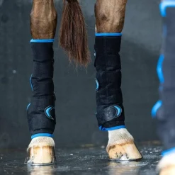 LeMieux - Guêtres refroidissantes arrière Freeze Flow Ice noir