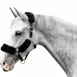 LeMieux - Licol pour chevaux Comfort noir