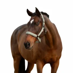 LeMieux - Licol pour chevaux Essence rosemary