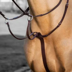 LeMieux - Martingale à anneaux Arika havane/ argent