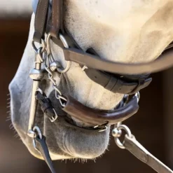 LeMieux - Protège gourmette Curb Chain marron