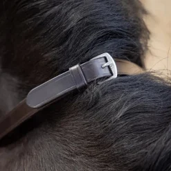 LeMieux - Rênes Magna Grip marron/ argent