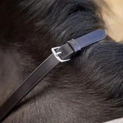 LeMieux - Rênes tressées cuir marron/ argent