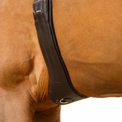 LeMieux - Sangle Hunter avec doublure antidérapante détachable havane