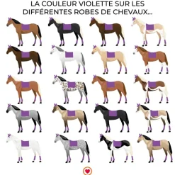 LeMieux - Tapis de dressage Loire Memory Satin violet