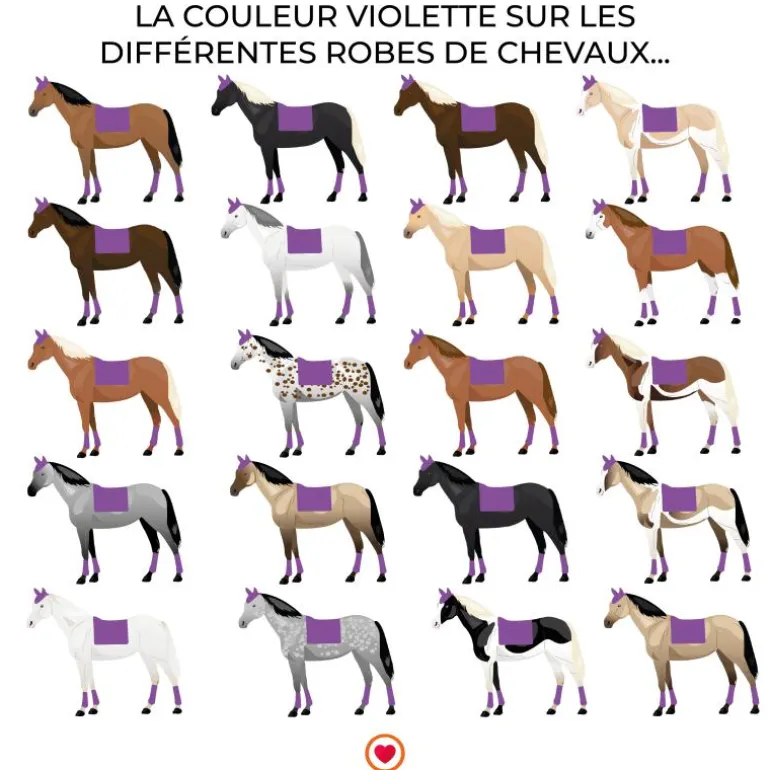 LeMieux - Tapis de dressage Loire Memory Satin violet