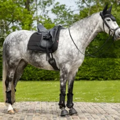 LeMieux - Tapis de dressage Work noir