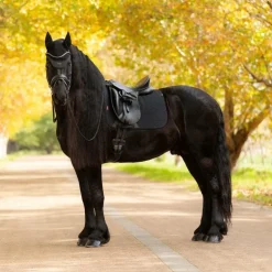 LeMieux - Tapis de dressage Square Essence noir