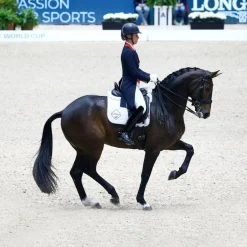 LeMieux - Tapis de dressage Competition Coton blanc