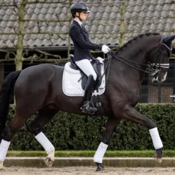 LeMieux - Tapis de dressage Crystal Suede Square blanc