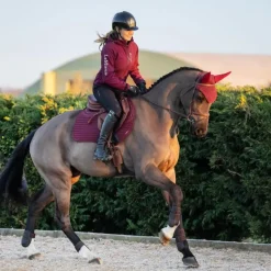 LeMieux - Tapis de selle Square Soft Shell Anti Glisse EuroJump bordeaux