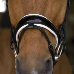 Norton - Bridon Bella noir