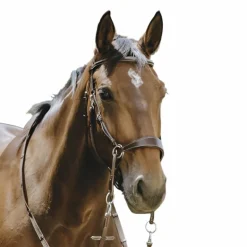 Norton - Bridon Bitless avec rênes havane