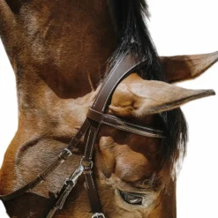 Norton - Bridon Bitless avec rênes havane