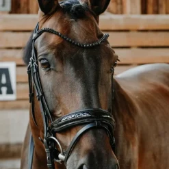 Norton - Bridon de dressage Royal noir