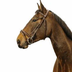 Norton - Bridon Easy havane