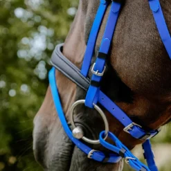 Norton - Bridon endurance Pop bleu électrique