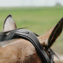 Norton - Bridon Freedom noir