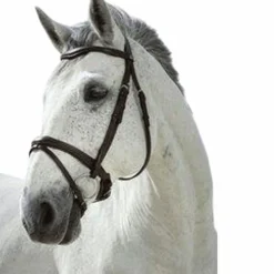 Norton - Bridon Pro Combinée noir