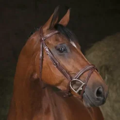 Norton - Bridon Pro Combinée havane