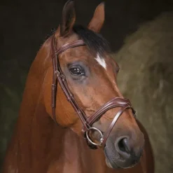 Norton - Bridon Pro Vague havane