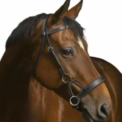 Norton - Bridon Side pull "PRO" confort noir