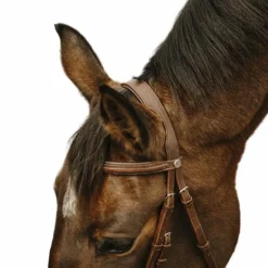 Norton - Bridon Square havane