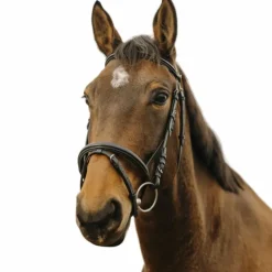 Norton - Bridon Square noir