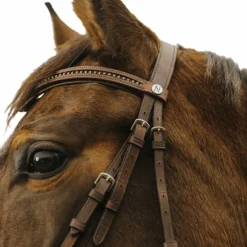 Norton - Bridon Strass V havane