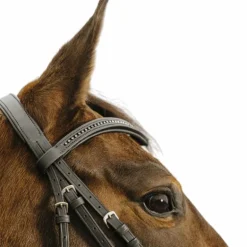 Norton - Bridon Strass V noir