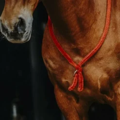 Norton - Cordelette/ Collier éthologique marine