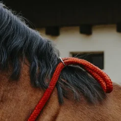 Norton - Cordelette/ Collier éthologique marron