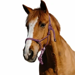 Norton - Ensemble licol éthlogique et longe Duo rose/ noir