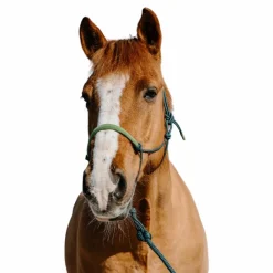 Norton - Ensemble licol éthologique et longe Suède vert foncé/ vert clair