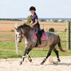 Norton - Guêtres cheval XTR à boutons mouton marine x2