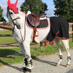 Norton - Guêtres cheval XTR mouton noir x2