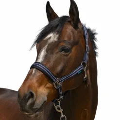 Norton - Licol 4 Lines marine