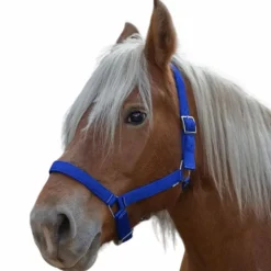 Norton - Licol cheval de trait "PRO" bleu roi
