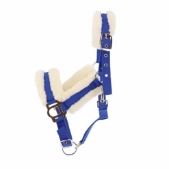 Norton - Licol Confort bleu vif