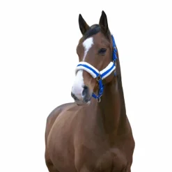 Norton - Licol Confort bleu vif