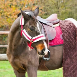 Norton - Licol Confort bordeaux/bouclerie or rose