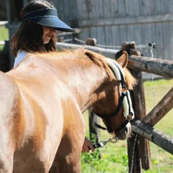 Norton - Licol Confort marine/bouclerie or rose