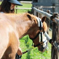 Norton - Licol Confort marine/bouclerie or rose