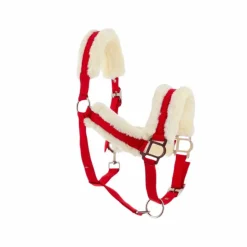 Norton - Licol Confort rouge/bouclerie argenté