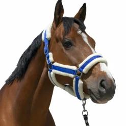 Norton - Licol Cosy bleu roi