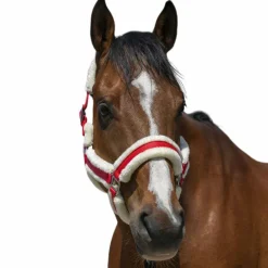 Norton - Licol Cosy rouge